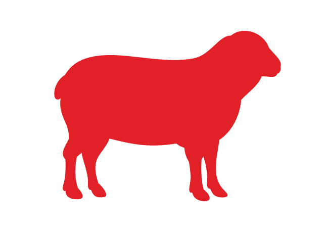 Lamb