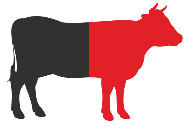 Share cow