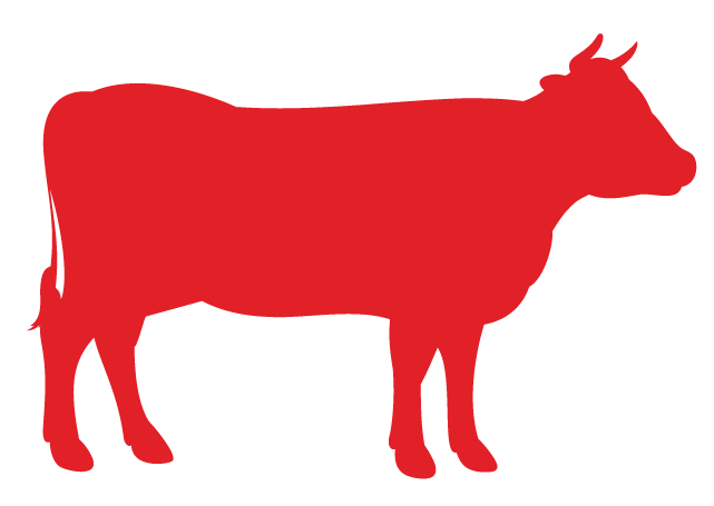 Full cow